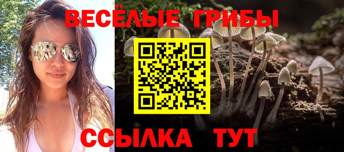 Псилоцибиновые грибы мицелий  Псилоцибиновые грибы Magic Shrooms  закладки  Кубинка  Вход с VPN 